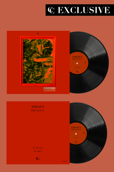Vinyl LP: ANDATA - Precious 
